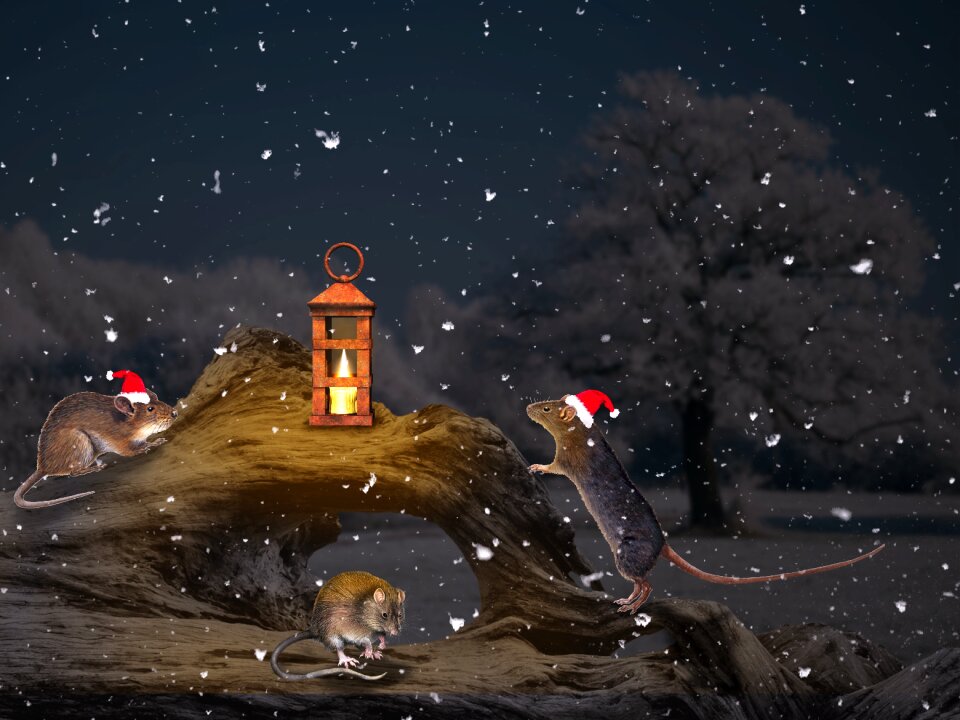 Mice nicholas gifts