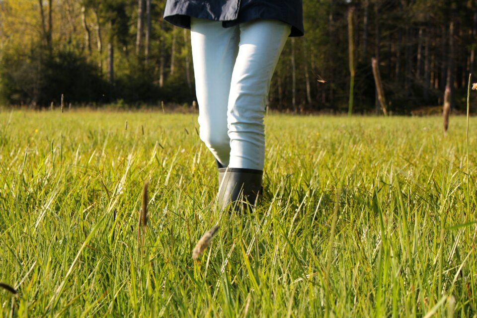 Jeans grass nature