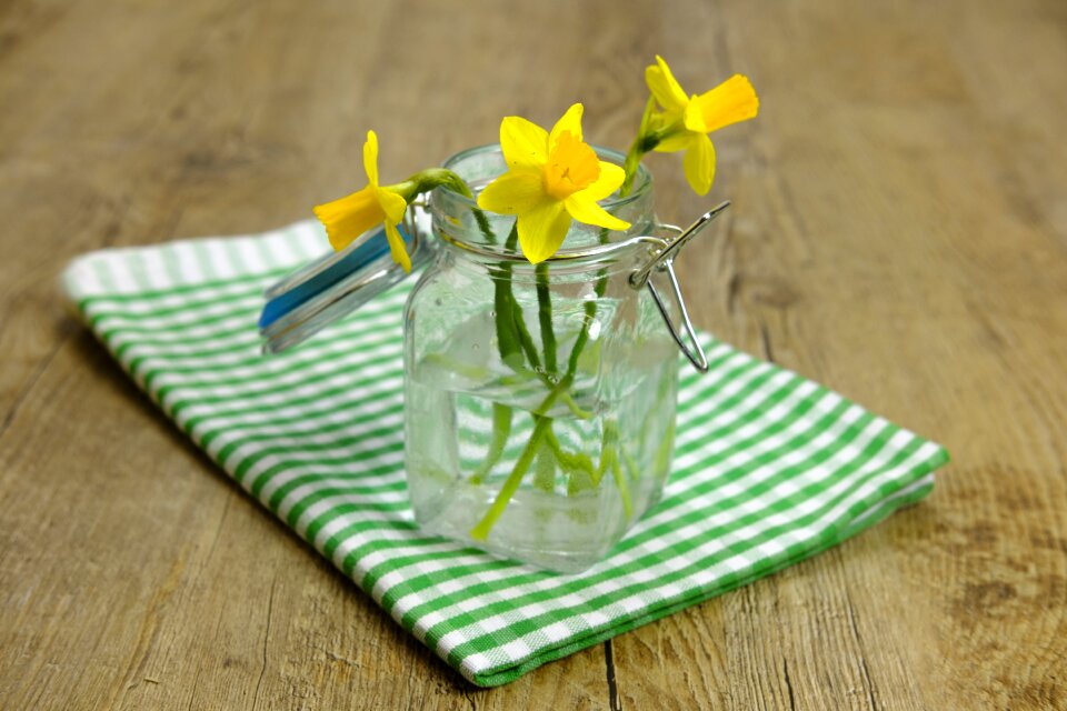 Amaryllidaceae narcissus vase