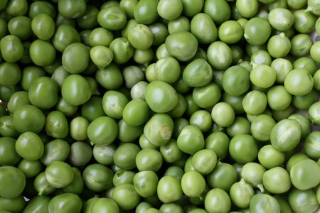 Pea in-natura plant