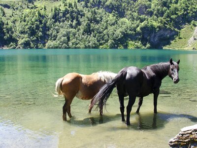 Landscape nature water plan