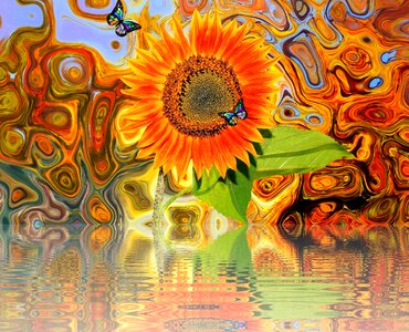 Bloom plant nature