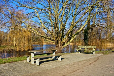 Wooden bench resting picnic photo