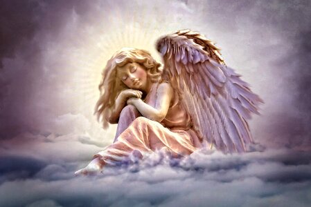 Violet wing romantic