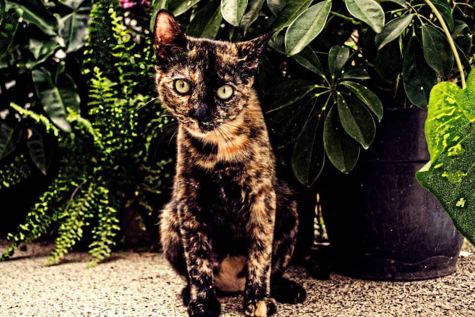 Cute portrait outdoors