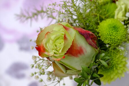 Floral arrangement arrangement wedding