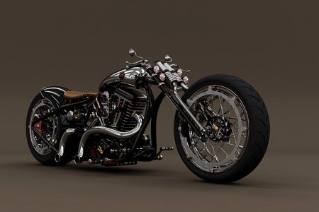 Race drive brown bike