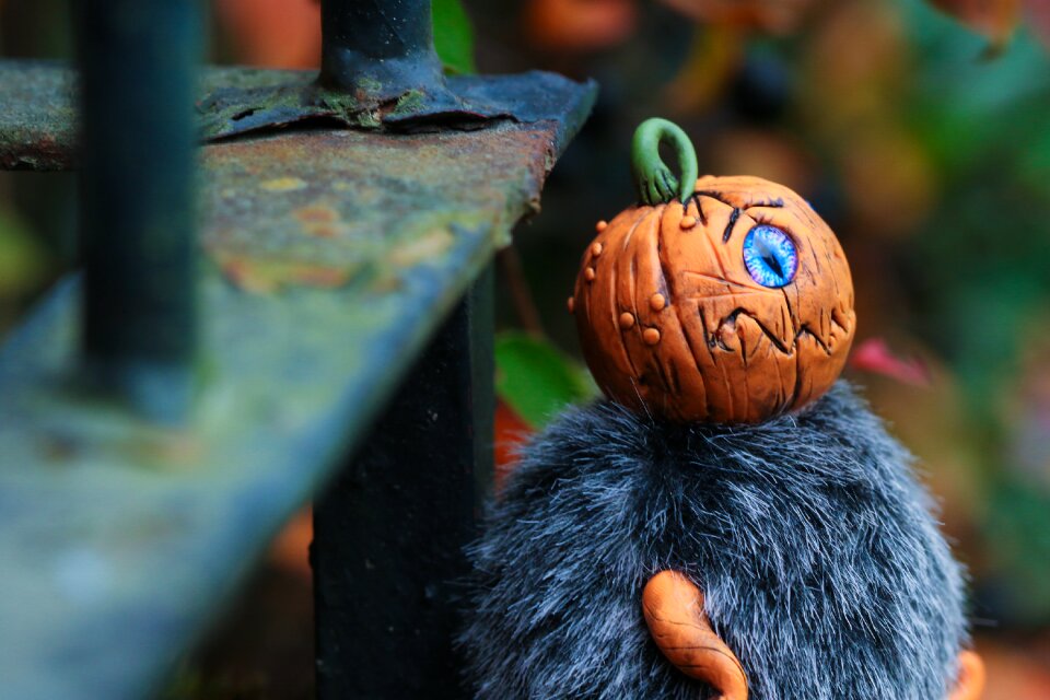 Pumkin autumn fall