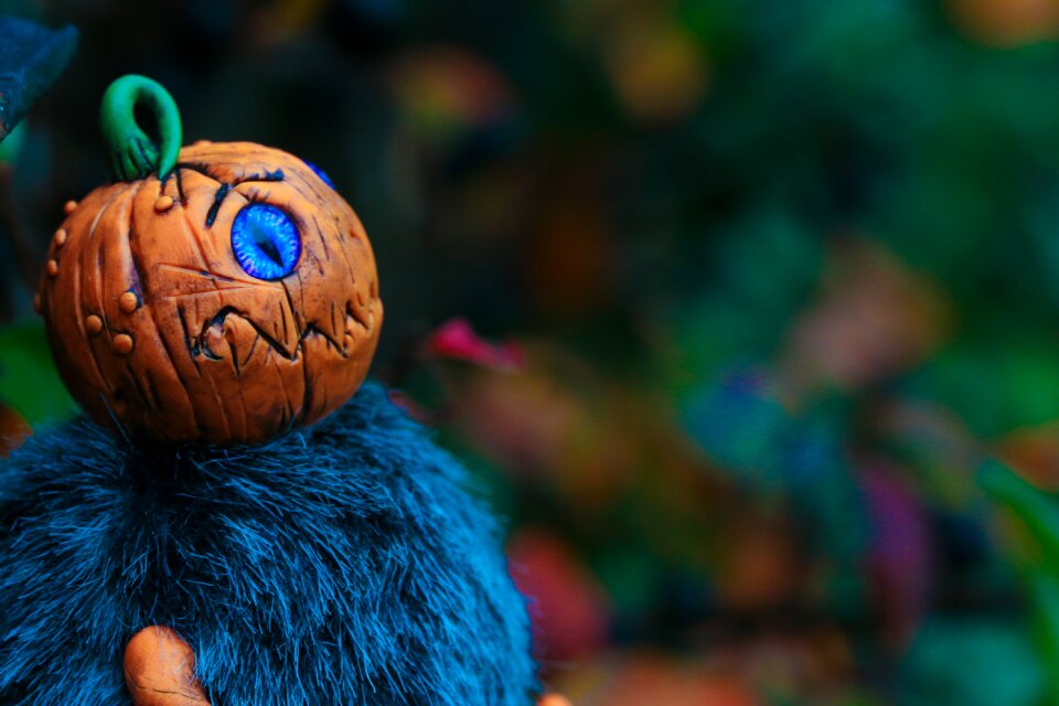 Pumkin autumn fall