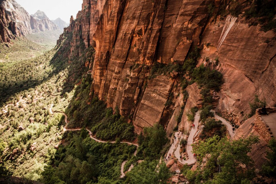 Trees rock travel