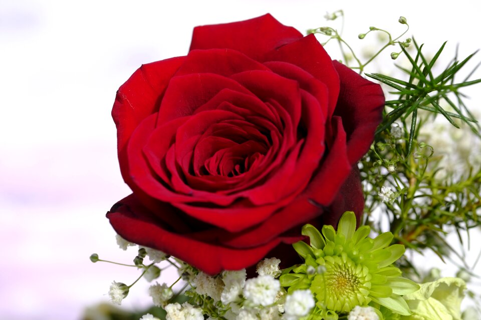 Floral arrangement arrangement wedding
