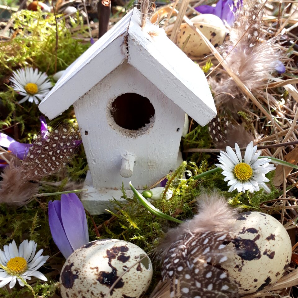 Decoration bird feeder feather