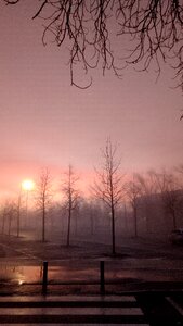 Sunset fog landscape photo