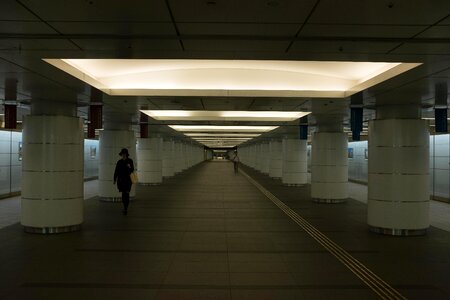 Japan tokyo structure