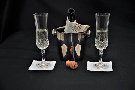 Champagne cooler celebration for two