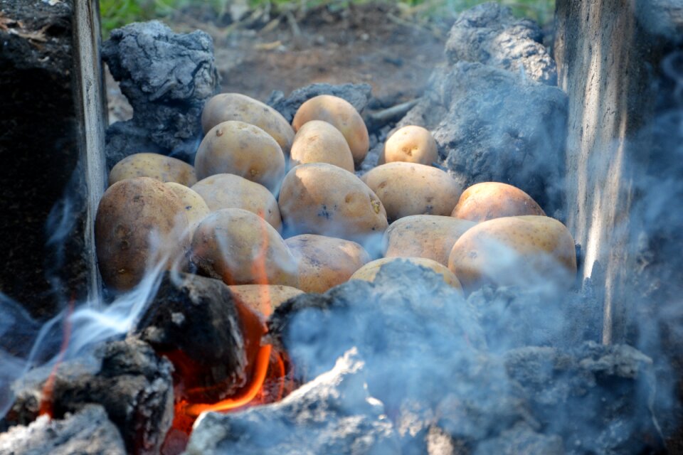 Cob barbecue picnic