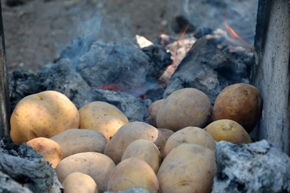 Cob barbecue picnic