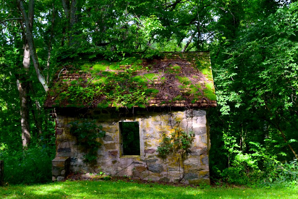 Historic rustic vintage