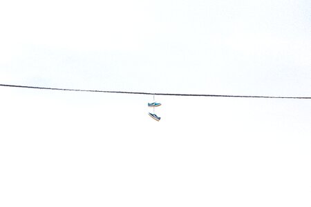 Hanging shoes sneakers photo
