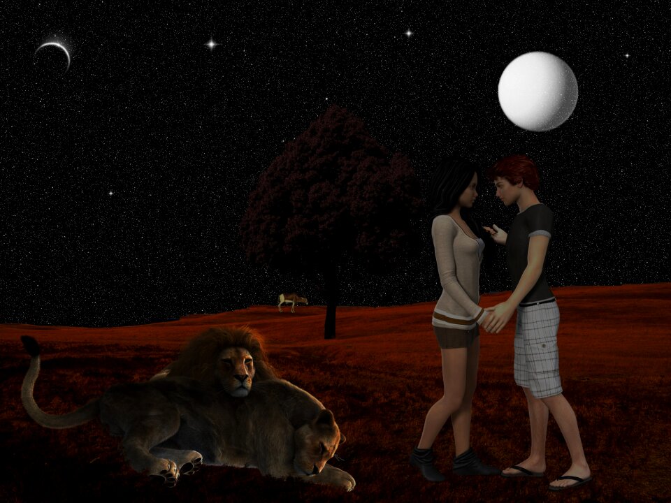 Good evening photomontage harmony