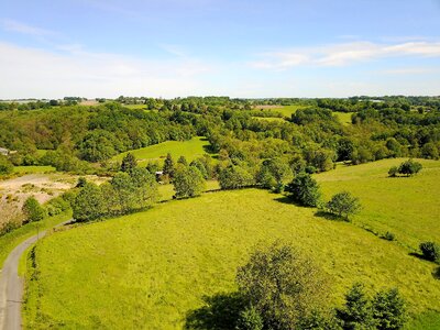 View landscape forest photo