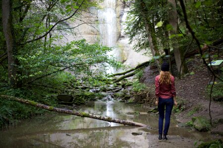 Nature forest wanderlust