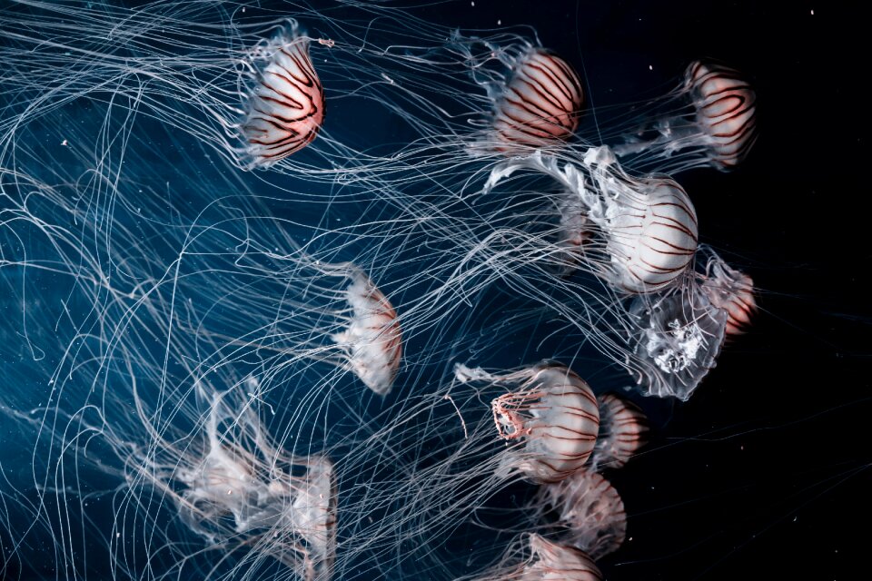 Ocean underwater dark