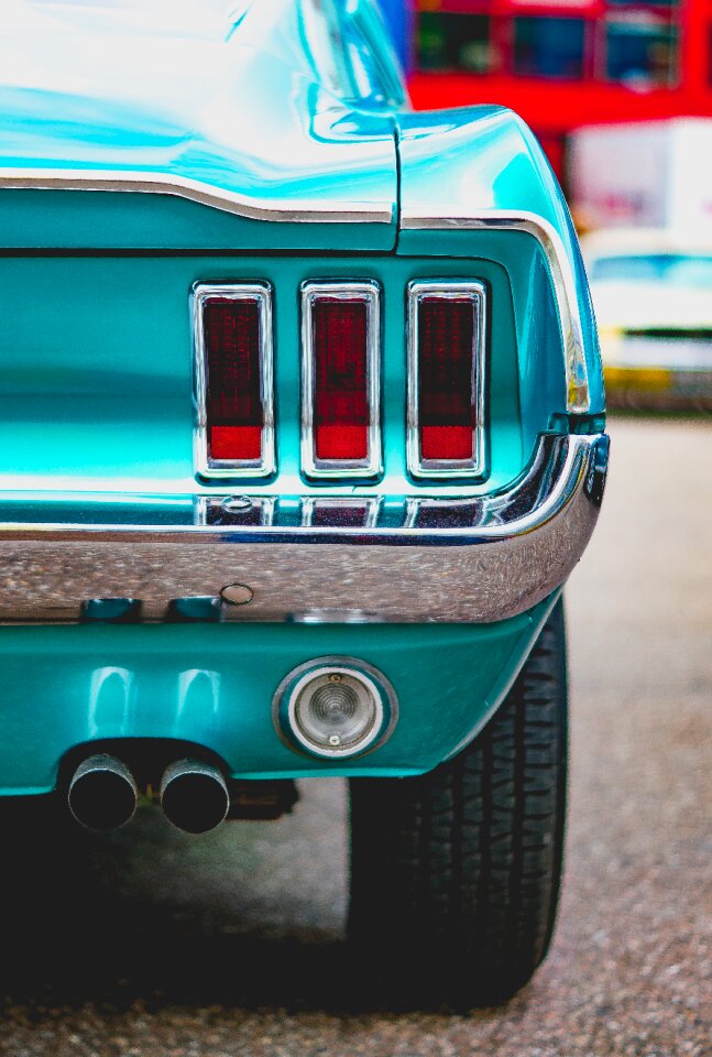 Mustang mature back light