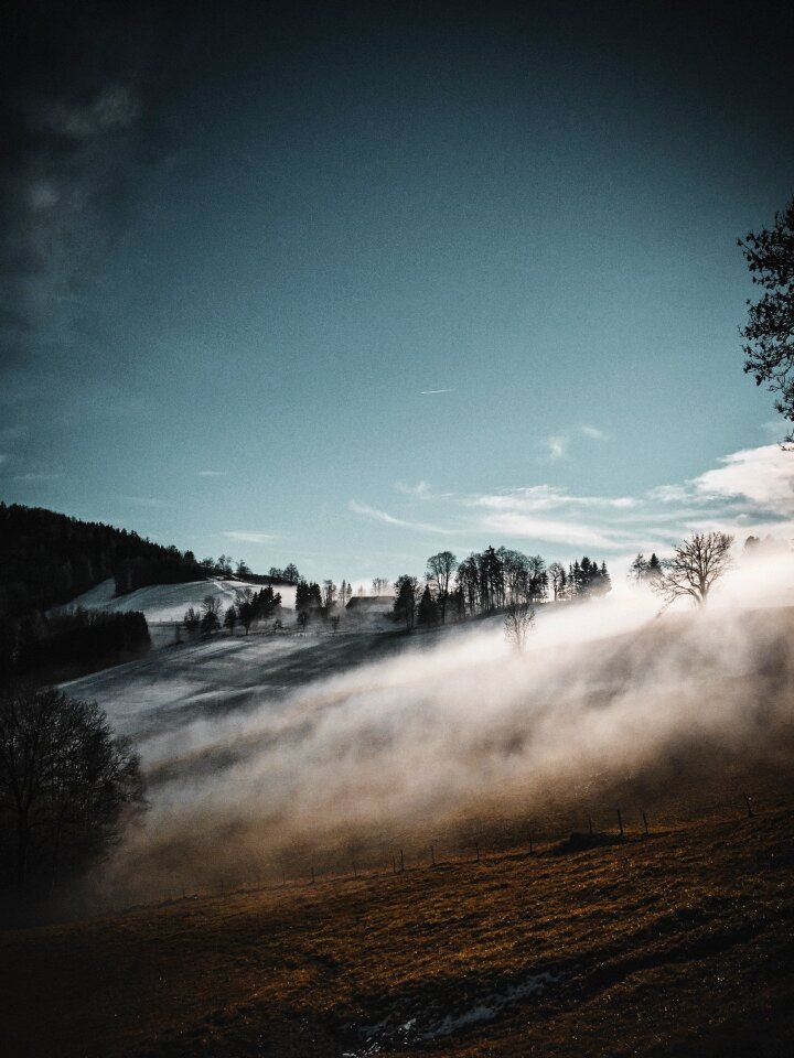 Trees clouds fog