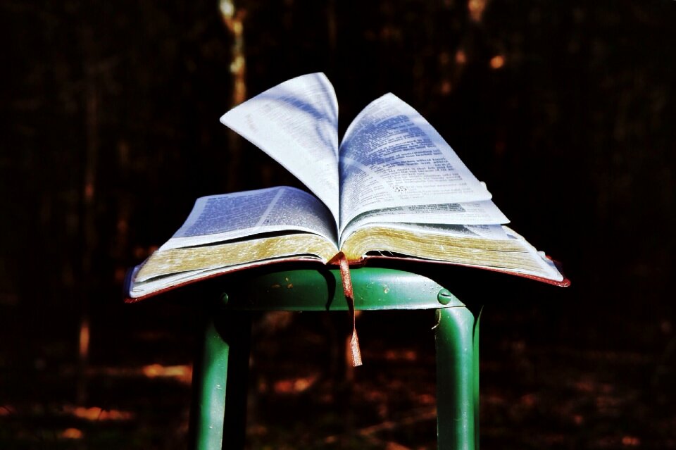 Paper pages testament