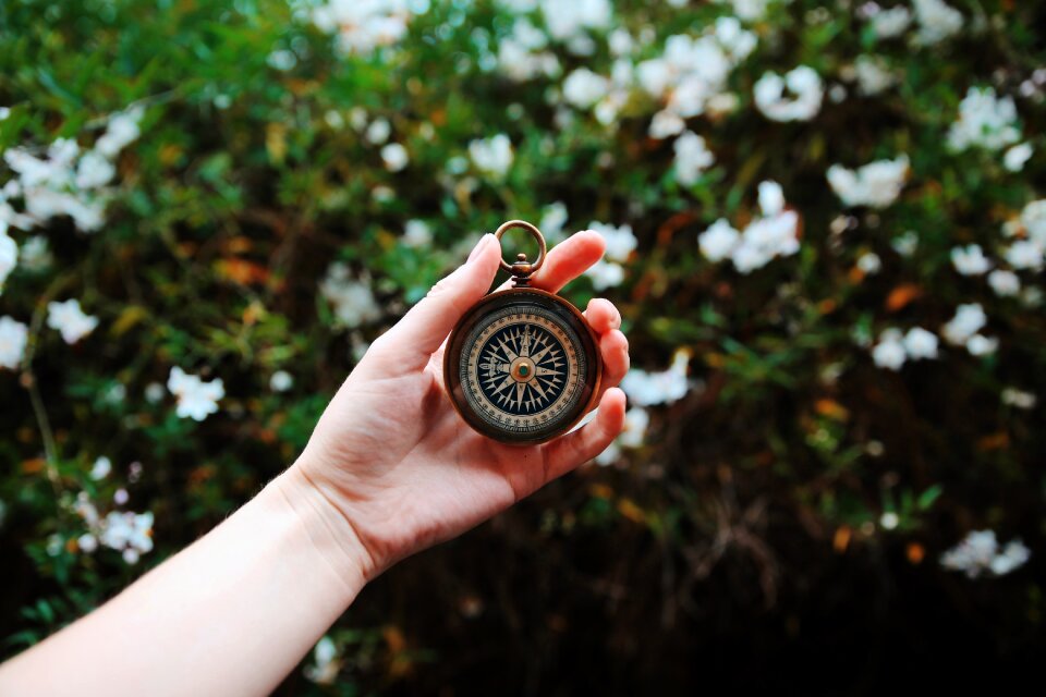 Nature blur hand