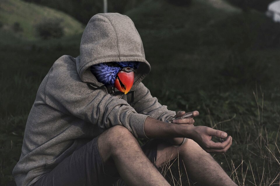 Beak hoodie dependent
