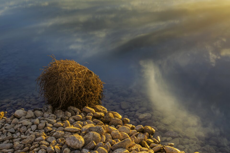 Landscape dawn body of water
