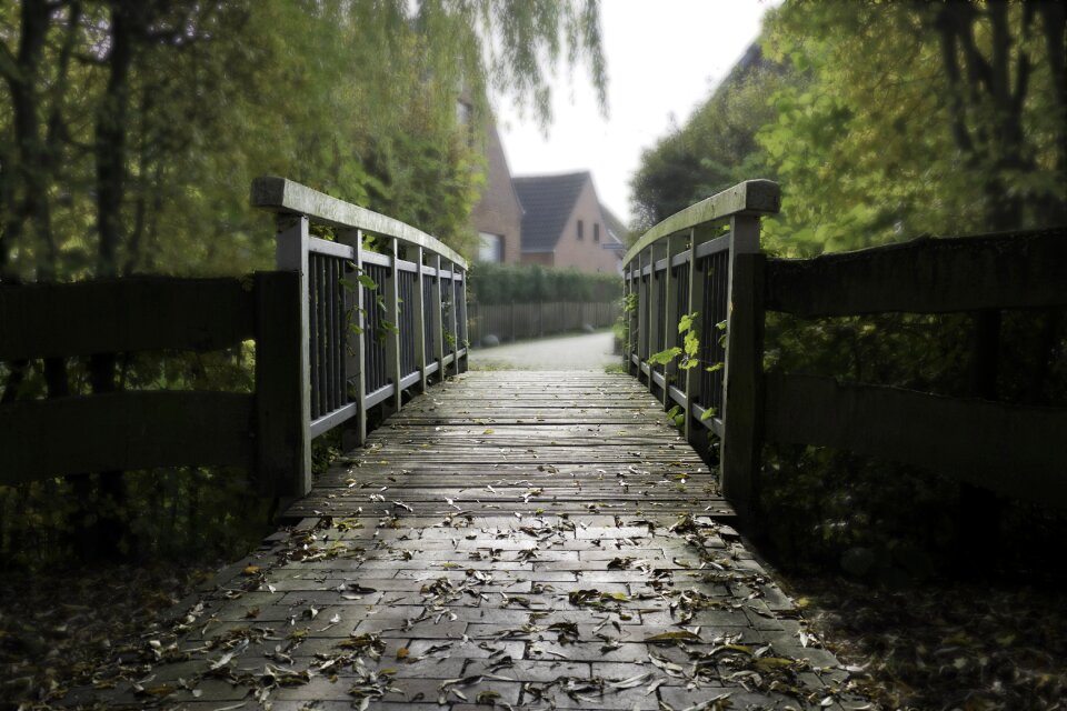 Pedestrian bridge landscape wooden bridge