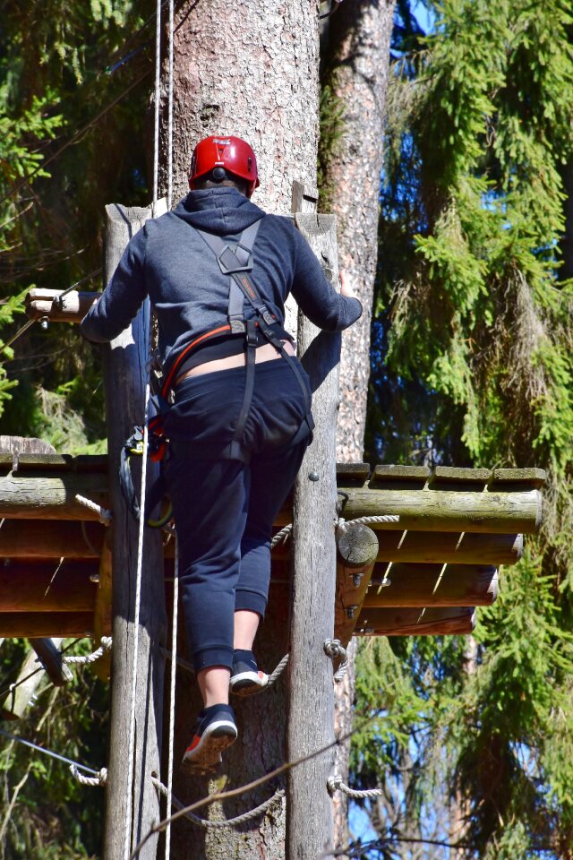 Climbing forest forest high