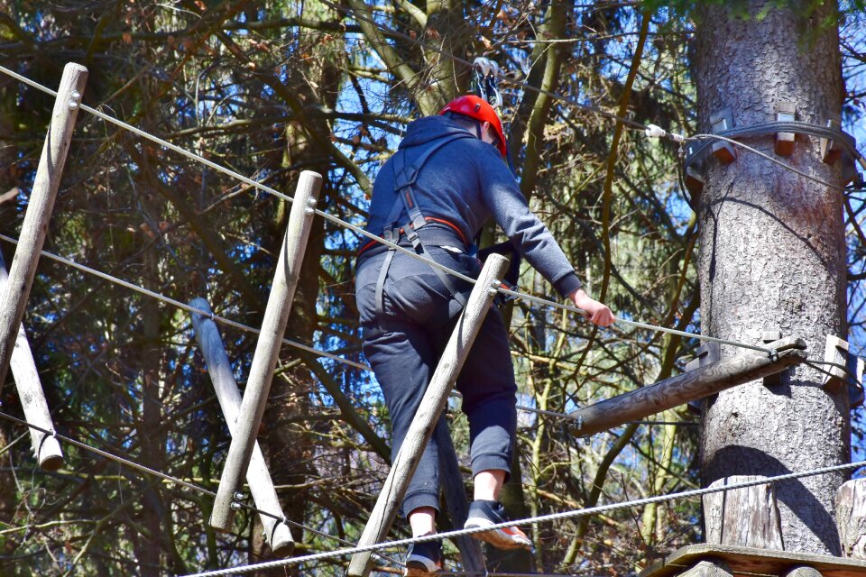 Climbing forest forest high