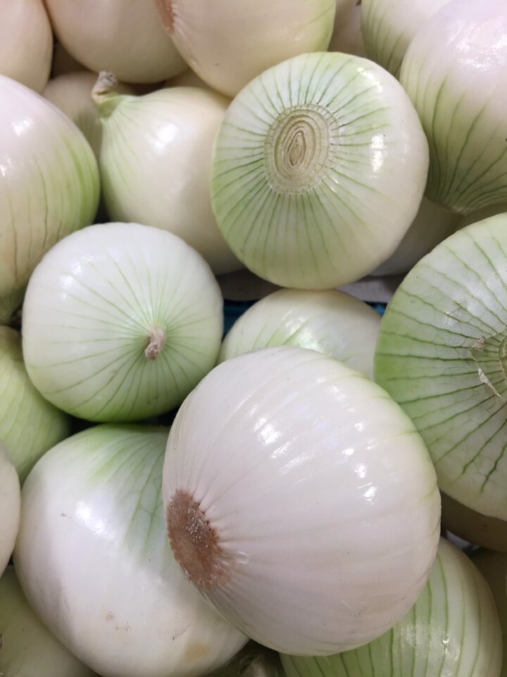 Kitchen vegetable onion