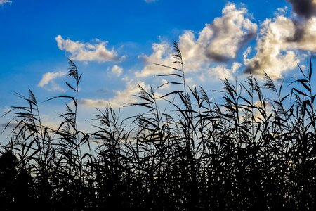 Clouds nature autumn