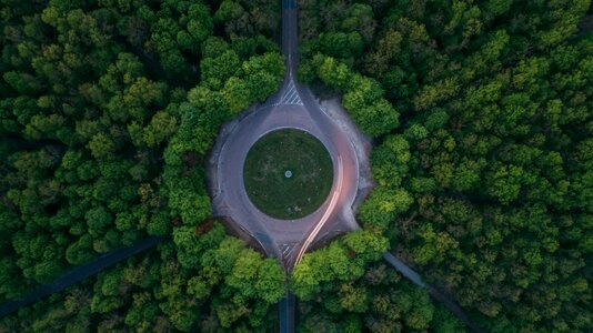 Nature forest aerial photo