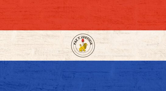 Paraguay flag Free photos