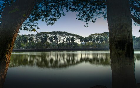 Myanmar lake trees photo