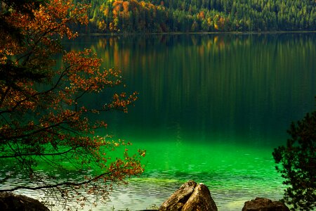 Mirroring green lake green photo