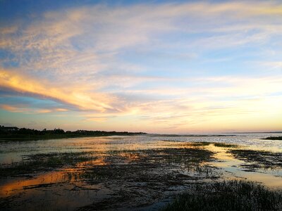 Wetlands swamp sunset