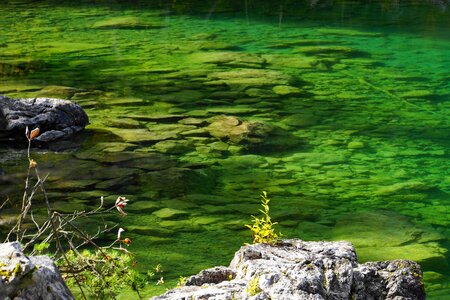 Green lake green nature