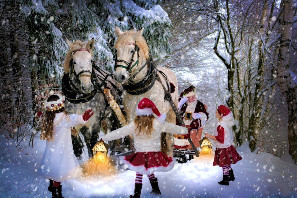 Winter child forest