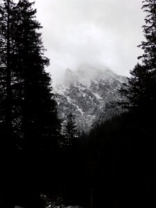Snow the fog clouds