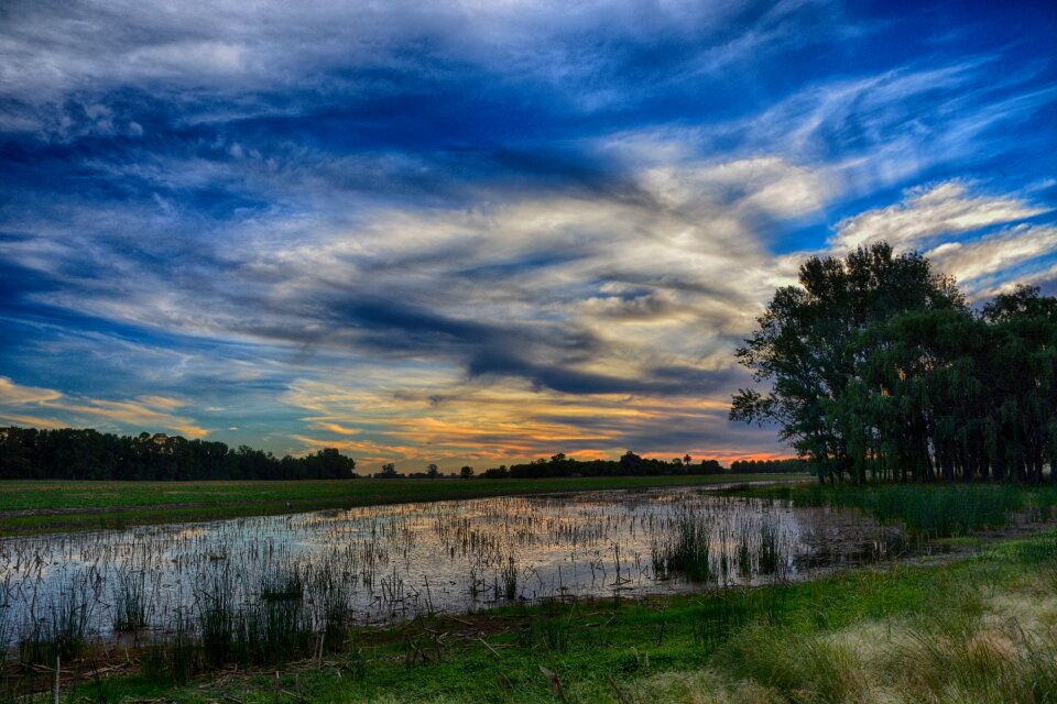 Blue nature sunset