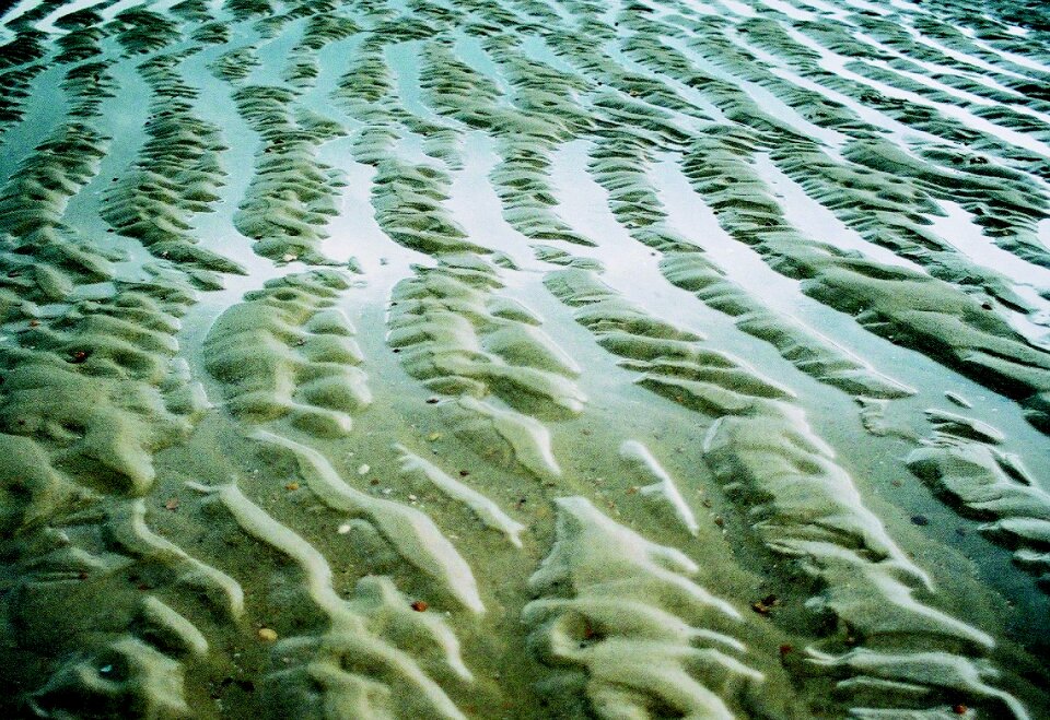 Still life beach sea photo