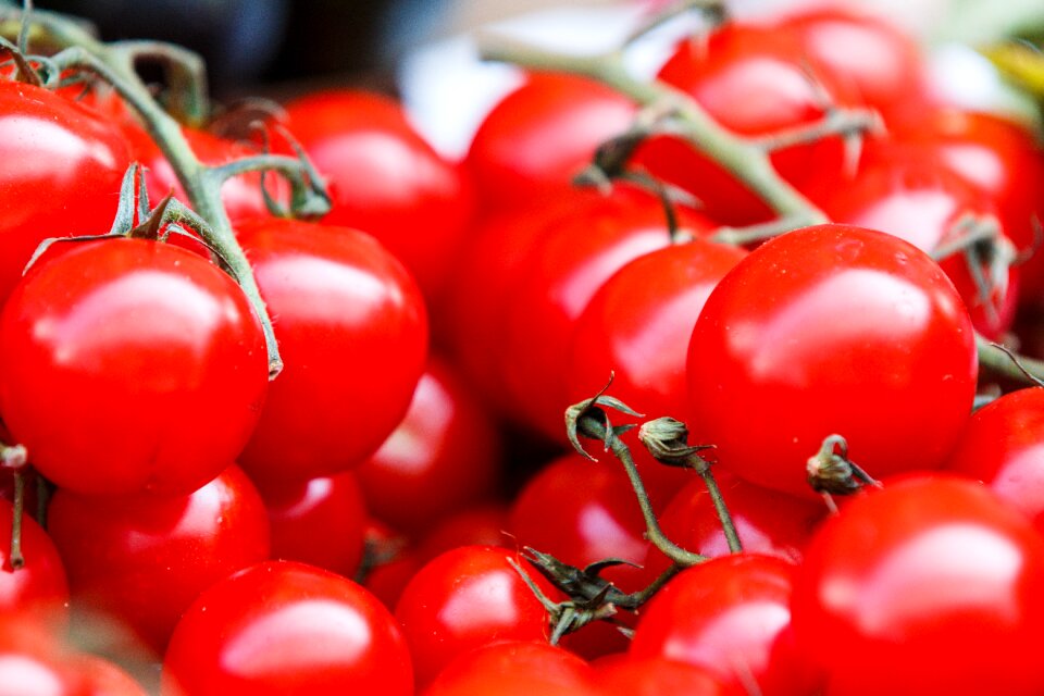 Food harvest farm