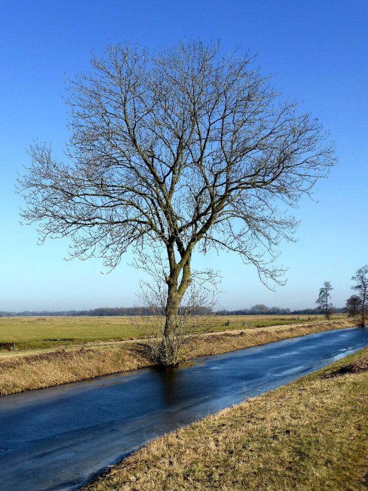 Ditch dutch landscape sun